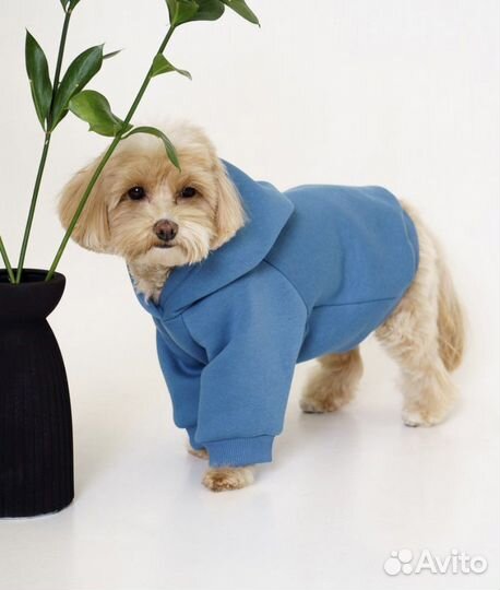 Одежда худи свитер для собак Woolberry