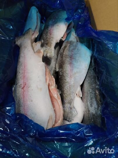 Рыба икра морепродукты