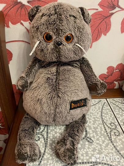 Кот Басик