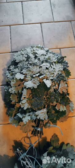 Веники для бани 2023