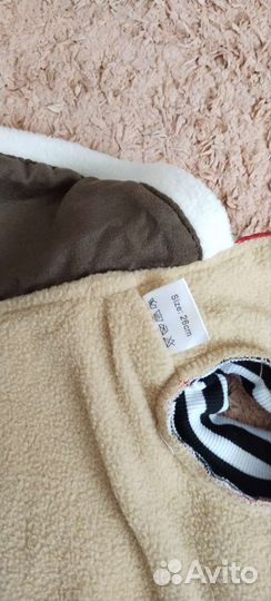 Верхняя одежда на йорка