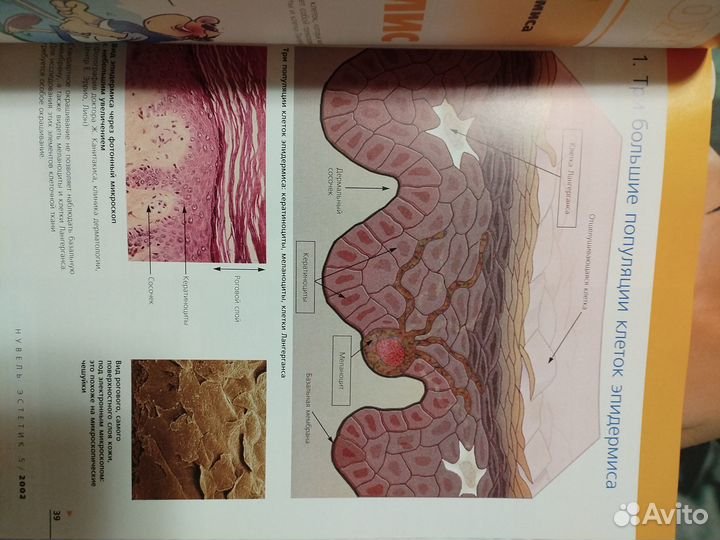 Журналы красота, здоровье. Les nouvelles