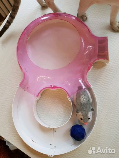 Интерактивный хомячок