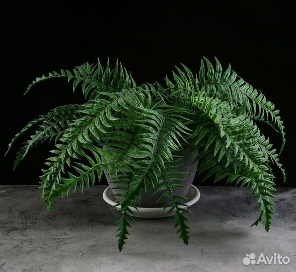 Поддон для цветов