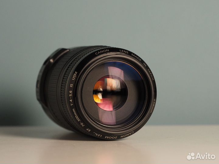 Canon EF 70-300mm f/4-5.6 IS USM