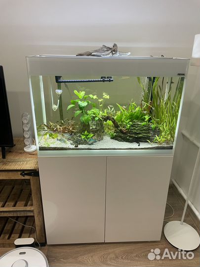 Аквариум Aquael glossy 80