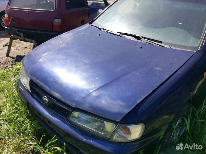 Капот ниссан альмера н15