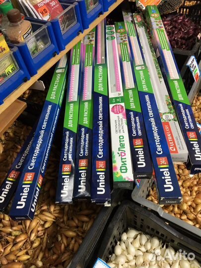 Фитолампы для растений