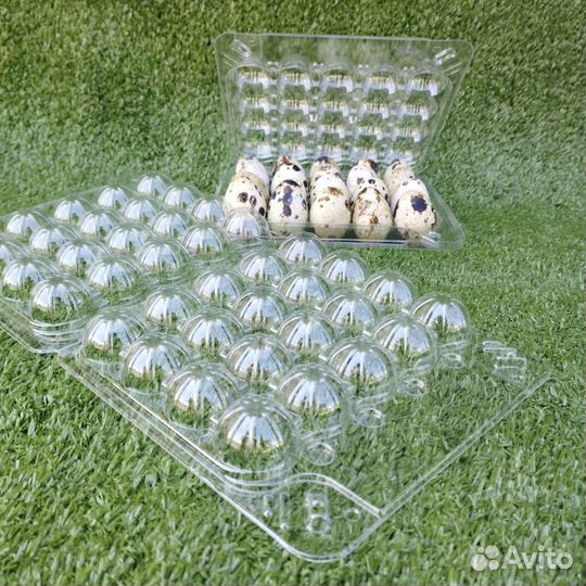 Контейнер для перепелиных яиц 100 шт