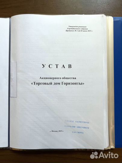 Ао «Торговый дом Горизонты». Готовое ао