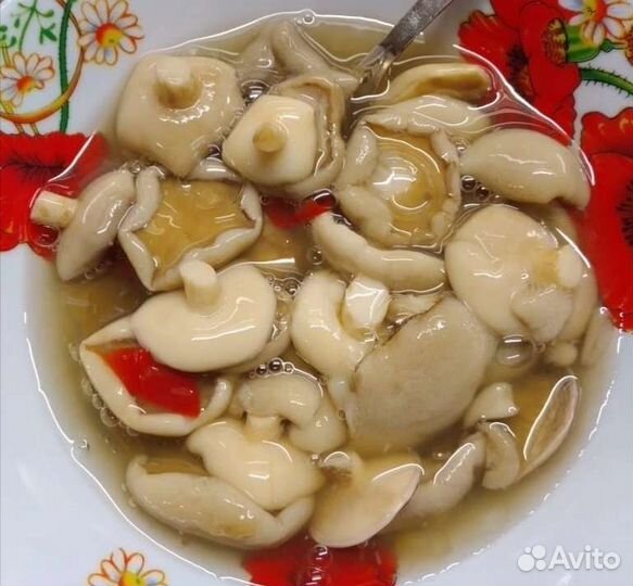 Маринованные, солёные, сушёные лесные грибы