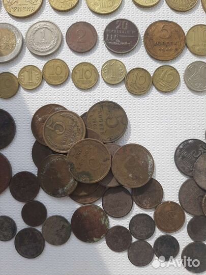 Монеты