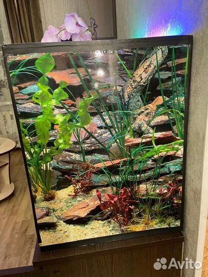 Аквариум