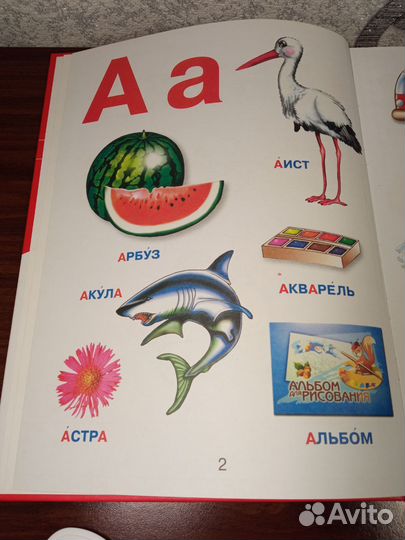 Азбука для малышей. Е. С. Чайка