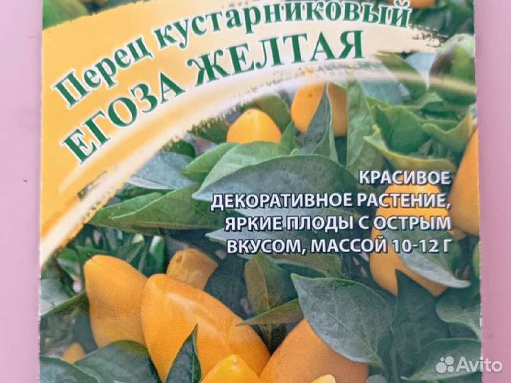 Рассада комнатных острых перцев