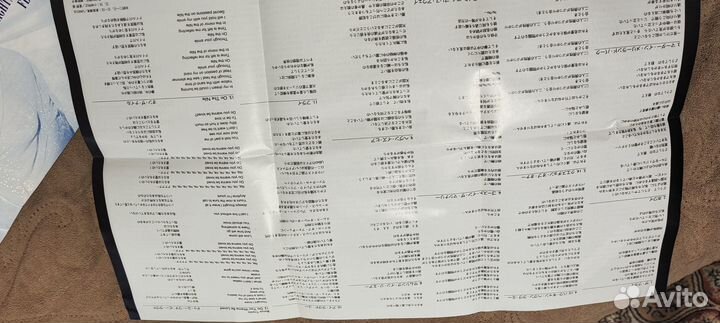 Sarah brightman (FLY)