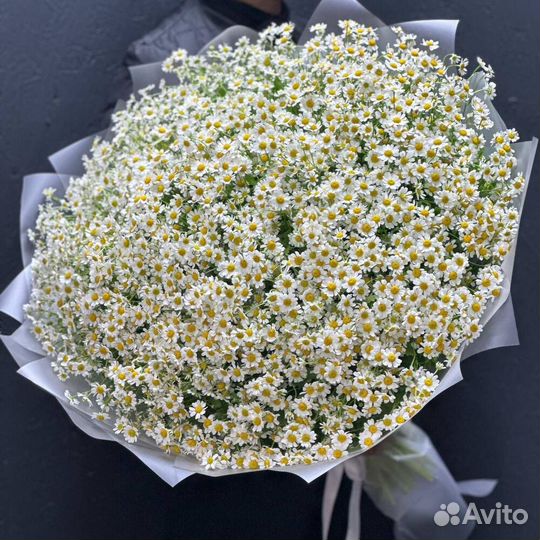 Букет из ромашек/Ромашки/21,31,51