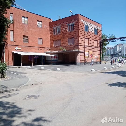 Горбуша н/р 2023г