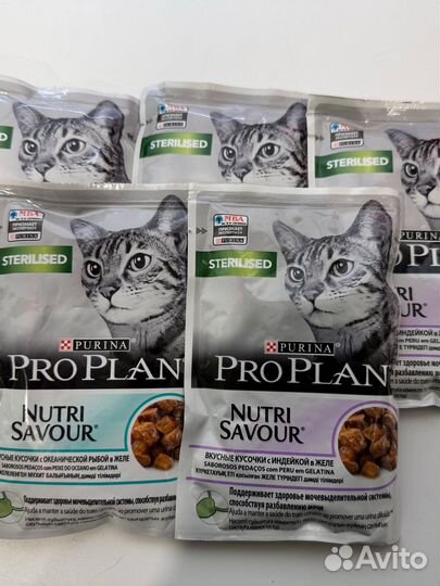 Влажный корм для кошек pro plan