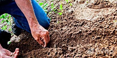 Плодородный грунт