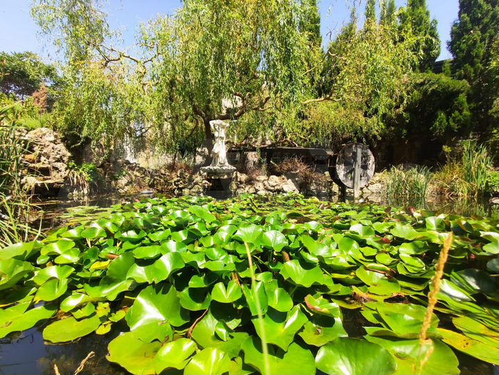 Дом 500 м² на участке 15 сот.