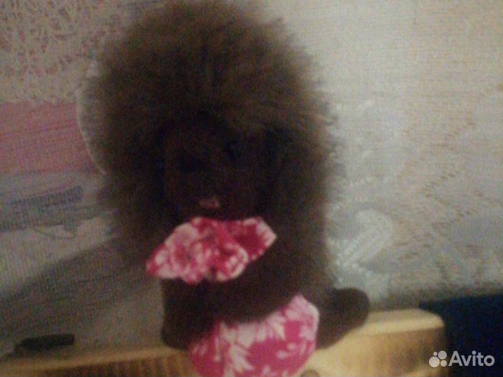 Игрушка мягкая Ёжик в тумане