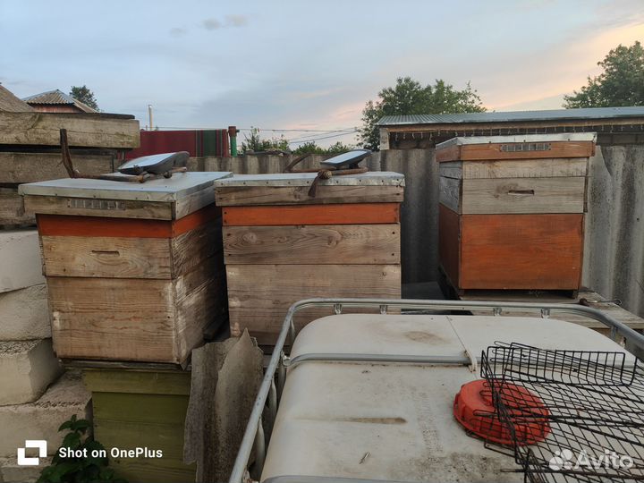 Улий для пчел новые
