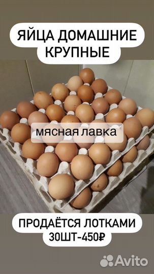 Домашние куриные яйца