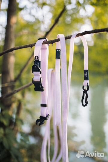 Ошейник и поводок для собаки