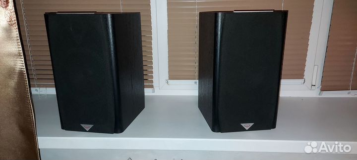 Полочные колонки Vector HX210