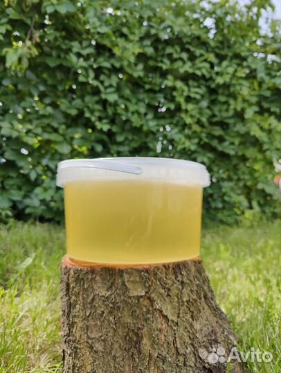 Майский мед 2023 (белая акация)