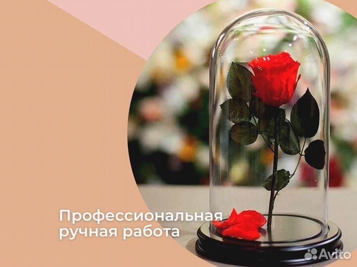 Розы в колбе разные