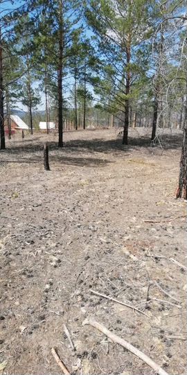 Участок 6 сот. (ИЖС)