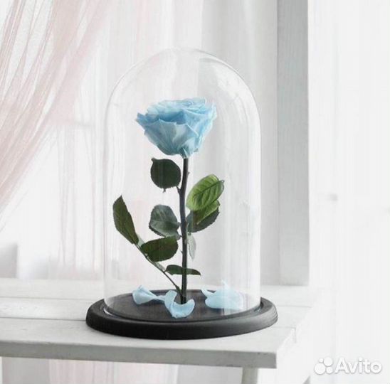 Розы в колбе на выбор