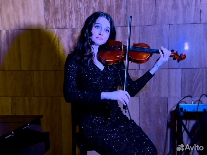 Скрипка, музыкант, живая музыка