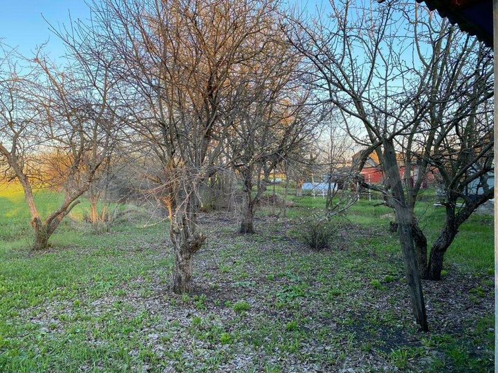 Дом 52 м² на участке 40 сот.