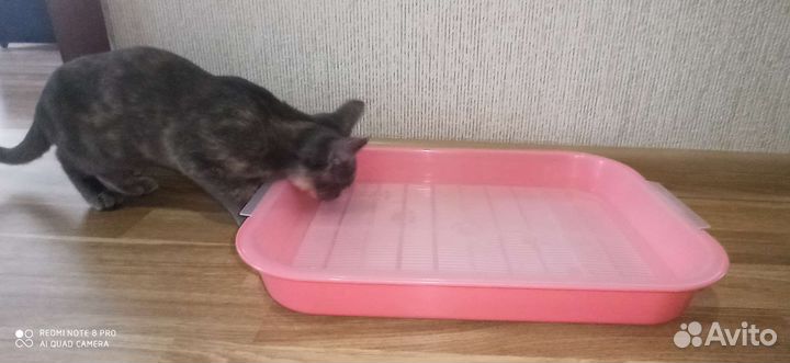 Лоток для кошек