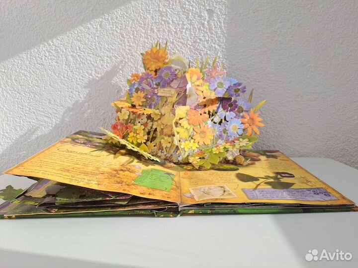 Королевство фей