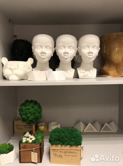 Кашпо африканка