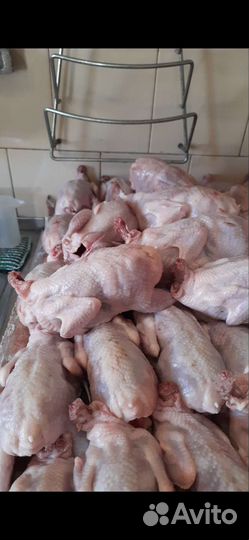 Мясо перепелов