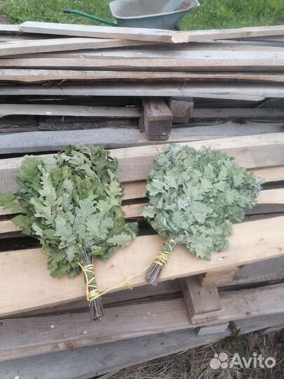 Веники для бани