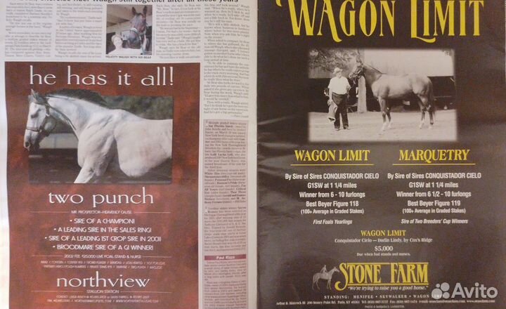 Газеты на английском