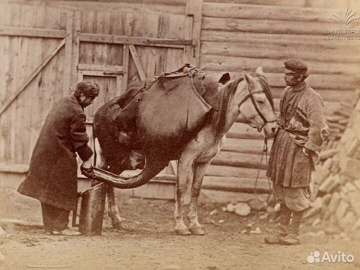 Тбилиси Топ-Экскурсия Цари, прачки и тулухчи