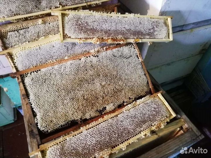 Цветочный Мёд из Цветковки