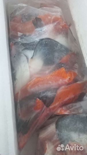 Красная икра,Форель,Индейка,Курица