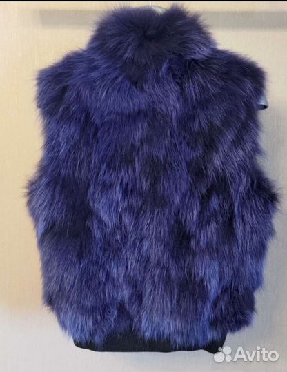 Синий жилет, песец