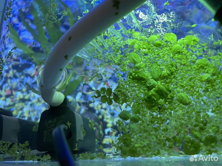 Аквариум 37 л + фильтр, свет и грунт