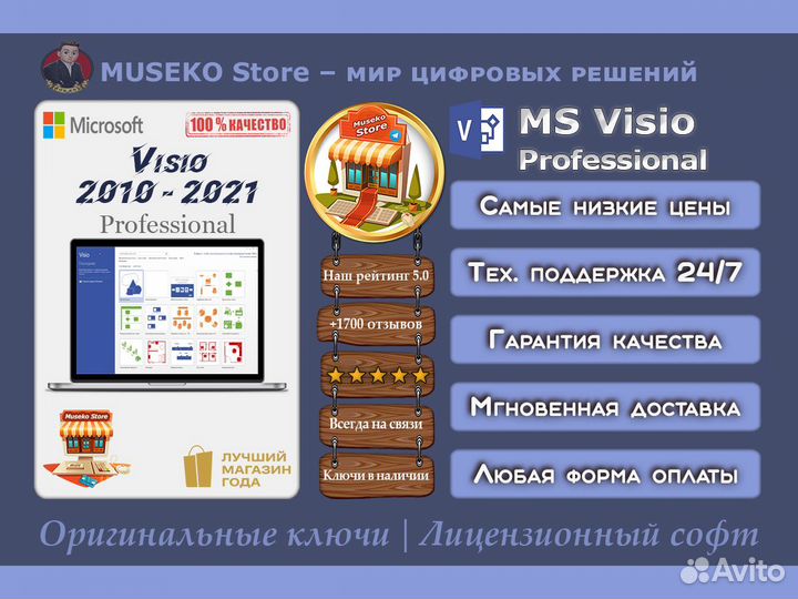 Microsoft Visio 2021/2019/2016/2013/2010 Pro Ключ