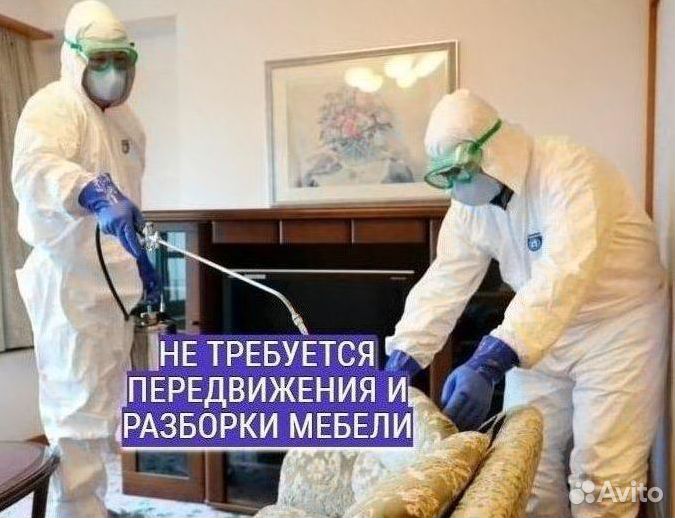 Уничтожение тараканов клопов Дезинфекция