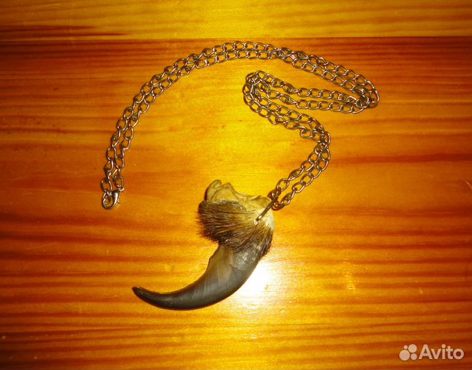 Большой Коготь Таёжного зверя